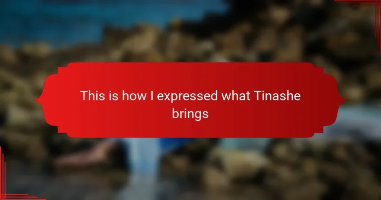 This is how I expressed what Tinashe brings