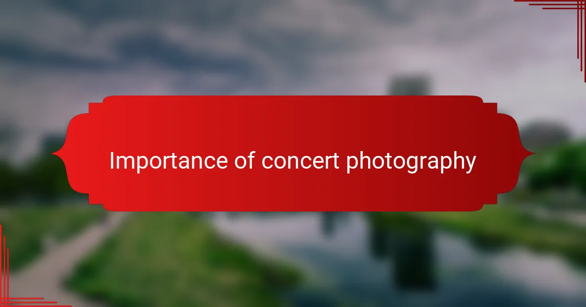 Importance of concert photography