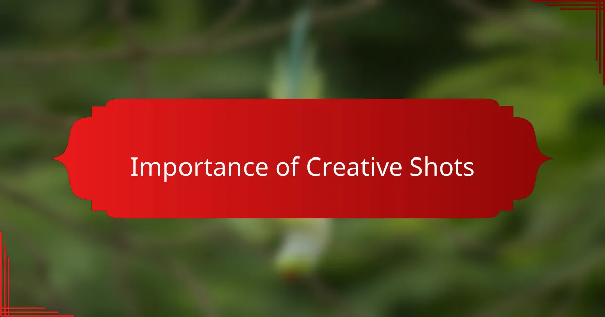 Importance of Creative Shots