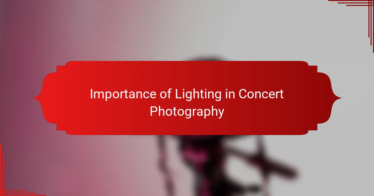 Importance of Lighting in Concert Photography