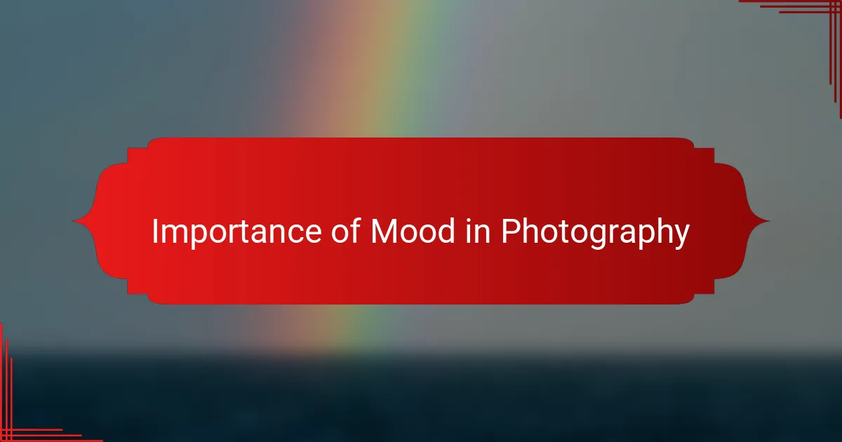 Importance of Mood in Photography