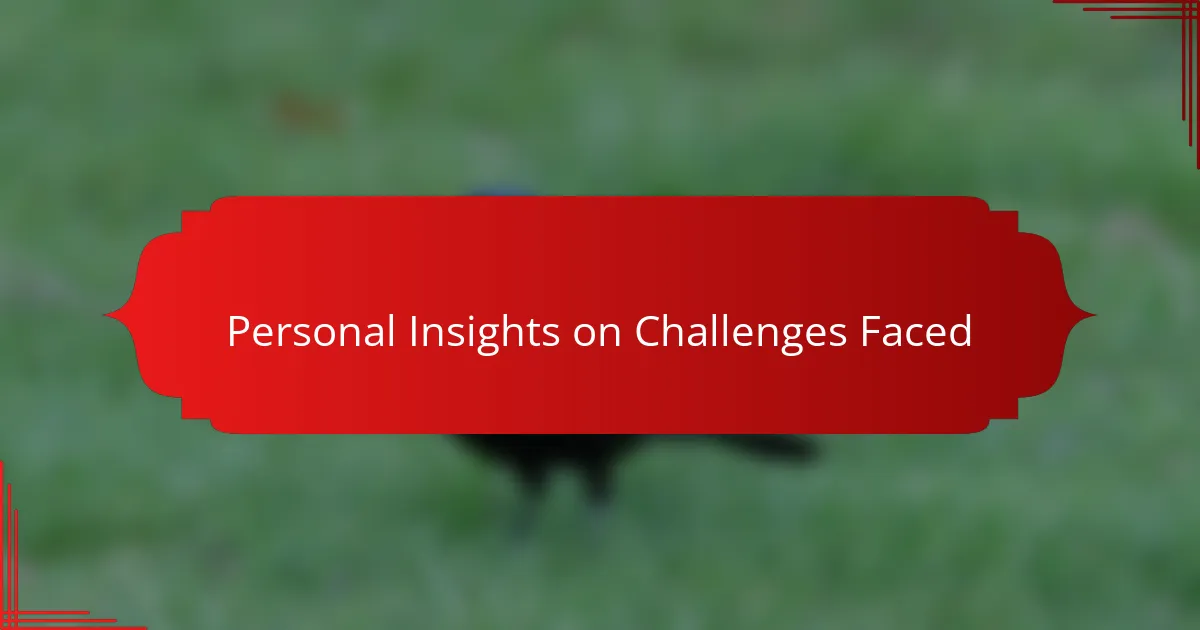 Personal Insights on Challenges Faced