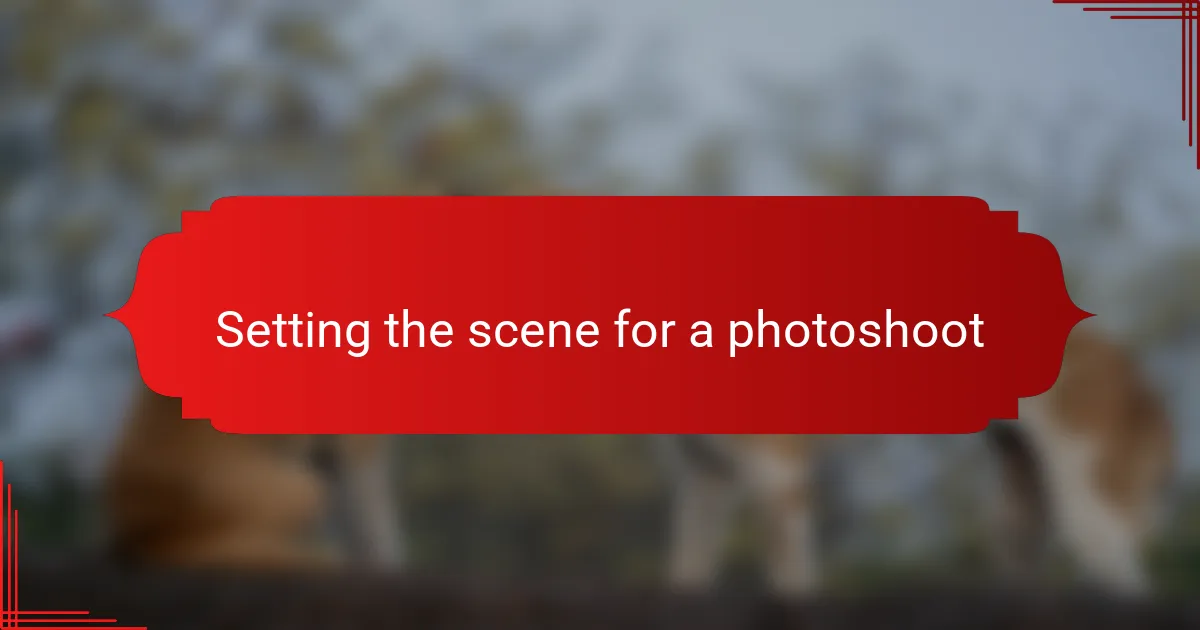 Setting the scene for a photoshoot